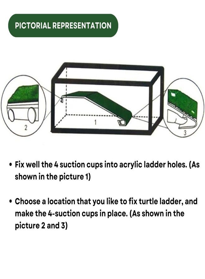 سلم سلحفاة أكريليك من نوع TUNAI Dophin TL 30 (أصلي من المتجر) (أكريليك، أخضر) - Image 4